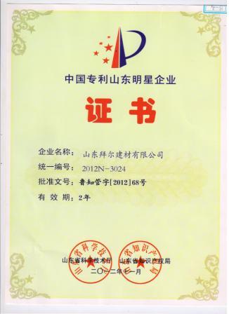 中國專利山東名牌證書.jpg