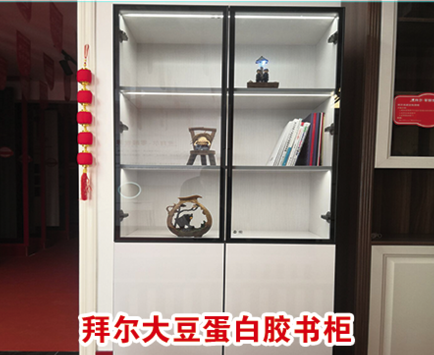 拜爾大豆蛋白膠成品書(shū)柜