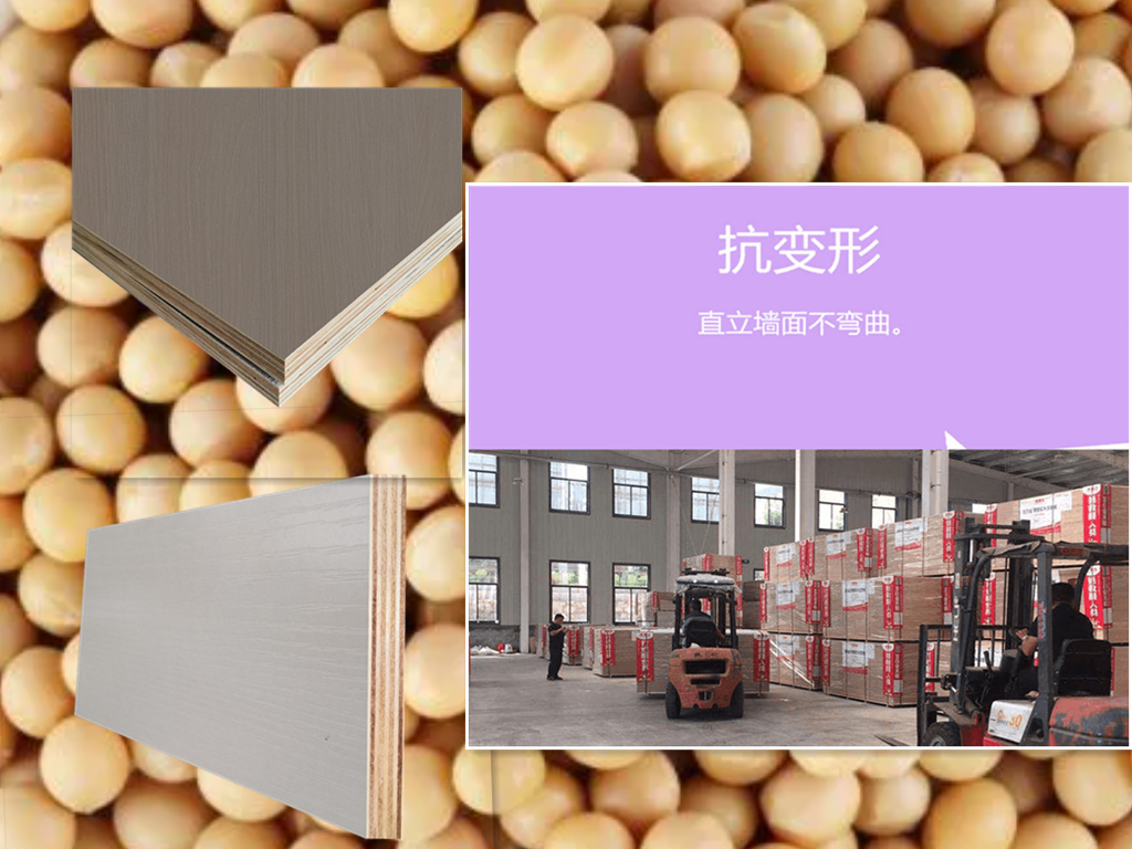 拜爾大豆蛋白膠無醛添加多層板.png